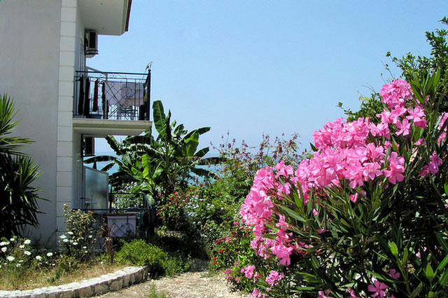 32_P7060062.LOURDATA Milos-Studios - Flora