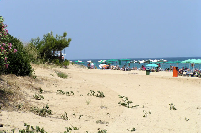 24_P7029958.Skals beach