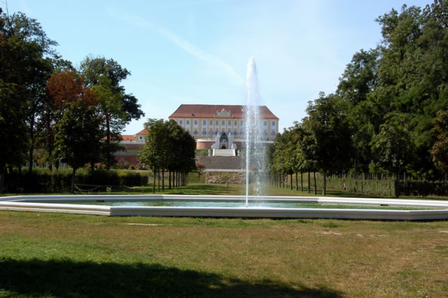 DSC_1981