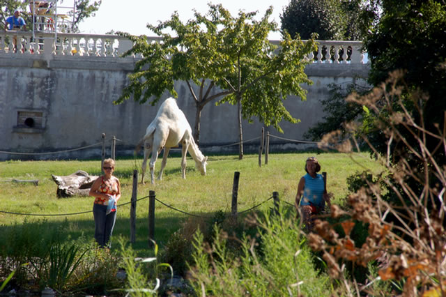 DSC_2004